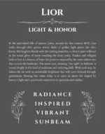 Lior personalized wall art with the story of your name in gray