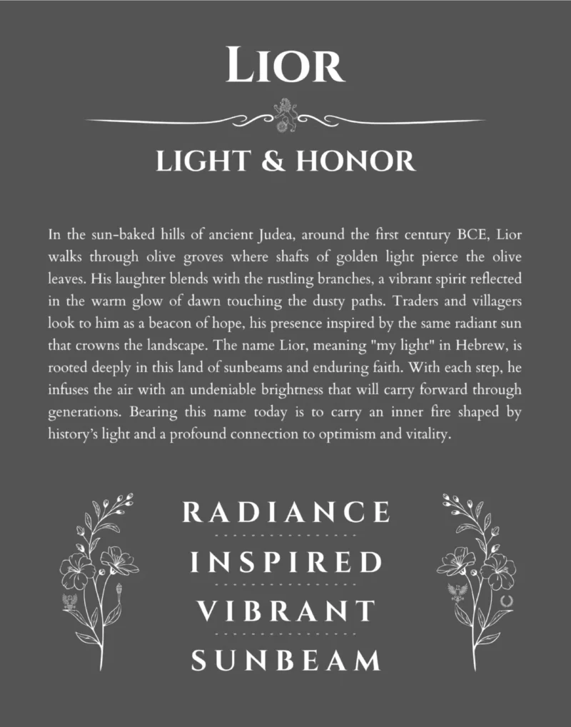 Lior personalized wall art with the story of your name in gray