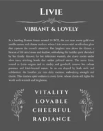 Livie name meaning wall art by Get Your Story in gray