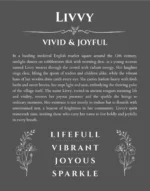 Livvy personalized name meaning print in gray