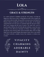 Lola personalized wall art with the story of your name in navy blue