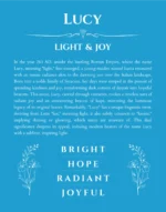 Lucy personalized wall art with the story of your name in blue