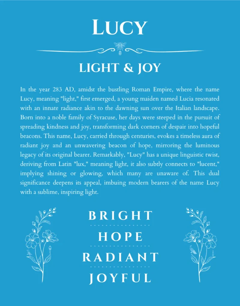 Lucy personalized wall art with the story of your name in blue
