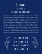 Lumi name meaning wall art by Get Your Story in deep blue