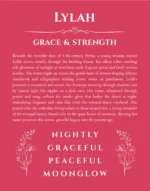 Lylah custom name art showing meaning and origin in red