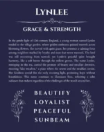 Lynlee personalized wall art with the story of your name in navy blue