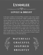 Lynnlee personalized name art with origin story in gray