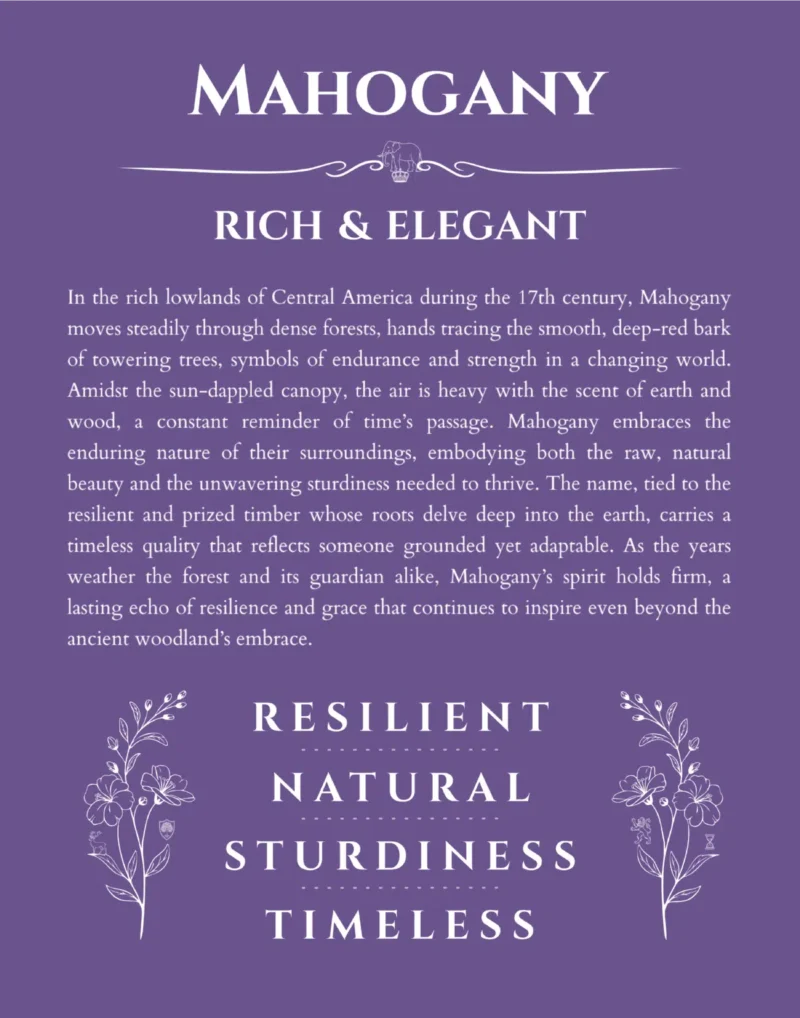 Mahogany personalized name art with origin story in purple