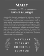 Maizy custom name meaning print in gray