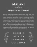 Malaki personalized name meaning print in gray