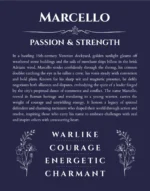 Marcello personalized wall art with the story of your name in navy blue