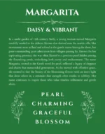 Margarita name origin print with meaning and traits in dark green