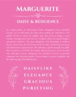 Marguerite custom name meaning print in pink