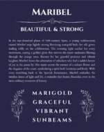 Maribel name meaning gift print in navy blue