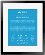 Marius name meaning wall art by Get Your Story in blue with black matte frame
