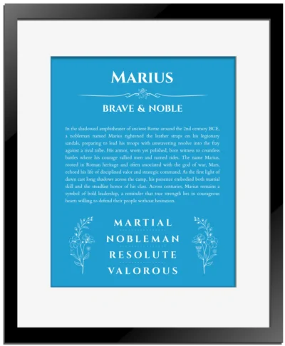 Marius name meaning wall art by Get Your Story in blue with black matte frame
