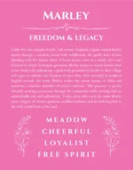Marley personalized wall art with the story of your name in pink