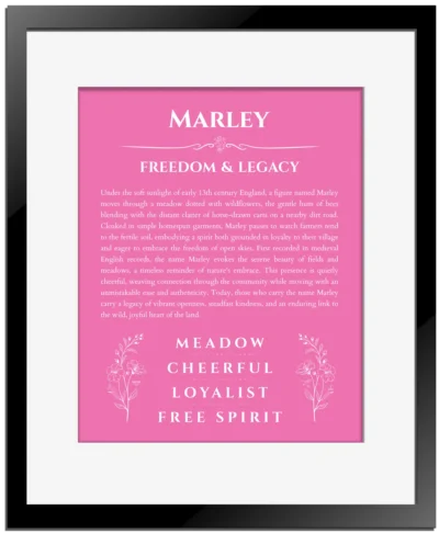 Marley personalized wall art with the story of your name in pink with black matte frame
