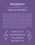 Maximus custom name print for wall display in purple