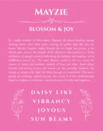 Mayzie custom name art showing meaning and origin in pink