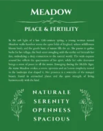 Meadow personalized name art with origin story in dark green