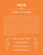 Meir personalized name art with origin story in orange