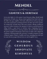 Mendel personalized name meaning print in navy blue