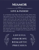 Miamor personalized name print with origin and traits in navy blue