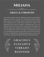 Miliana personalized name print with origin and traits in gray