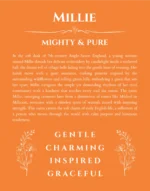 Millie personalized name meaning print in orange