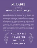 Mirabel custom name art showing meaning and origin in purple