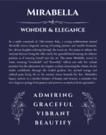 Mirabella name meaning gift print in navy blue