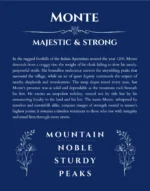 Monte name meaning gift print in deep blue