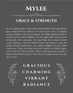 Mylee personalized name meaning print in gray