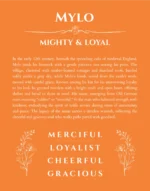 Mylo personalized wall art with the story of your name in orange