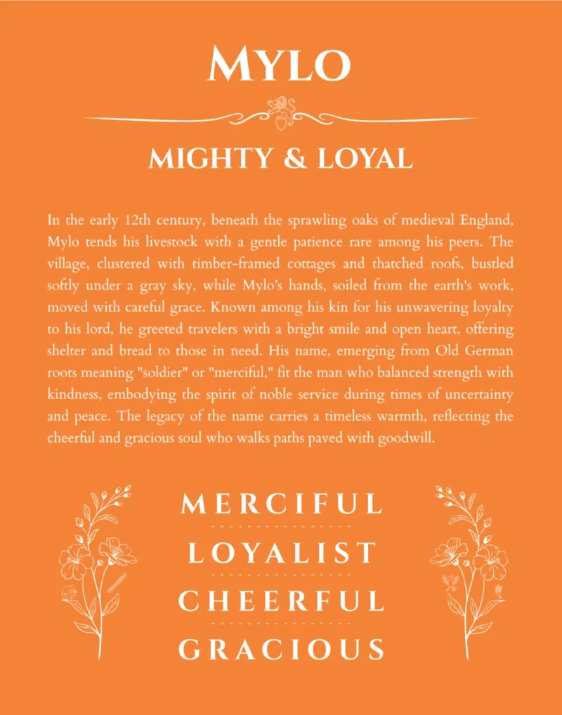 Mylo personalized wall art with the story of your name in orange