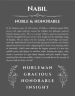 Nabil personalized name meaning print in gray