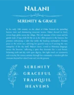 Nalani personalized name print with origin and traits in blue