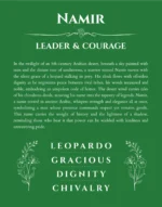 Namir personalized wall art with the story of your name in dark green