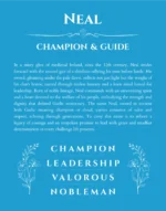 Neal personalized name print with origin and traits in blue