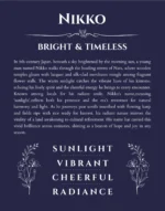 Nikko custom name art showing meaning and origin in navy blue