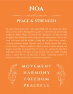Noa personalized name art with origin story in orange