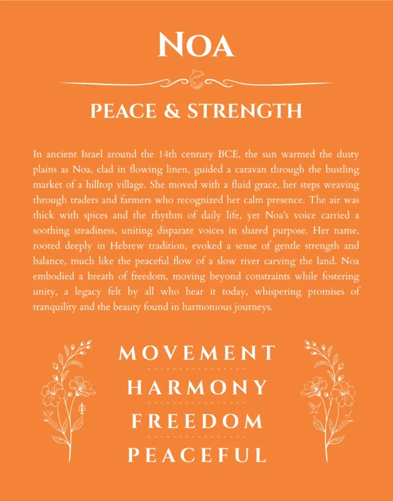 Noa personalized name art with origin story in orange