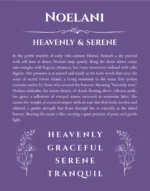 Noelani custom name art showing meaning and origin in purple