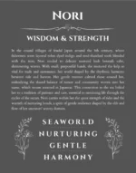 Nori personalized name print with origin and traits in gray