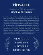 Novalee personalized name print with origin and traits in deep blue