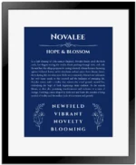 Novalee personalized name print with origin and traits in deep blue with black matte frame