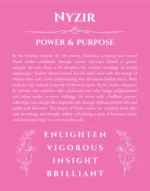 Nyzir name meaning gift print in pink