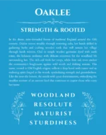 Oaklee personalized name art with origin story in blue
