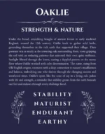 Oaklie personalized name meaning print in navy blue